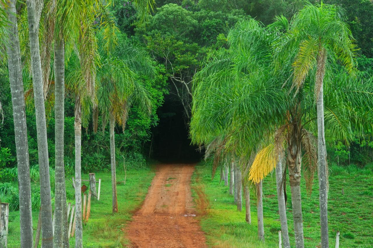 La Mision Mocona - Lodge De Selva ซัลโตส เดล โมโกนา ภายนอก รูปภาพ