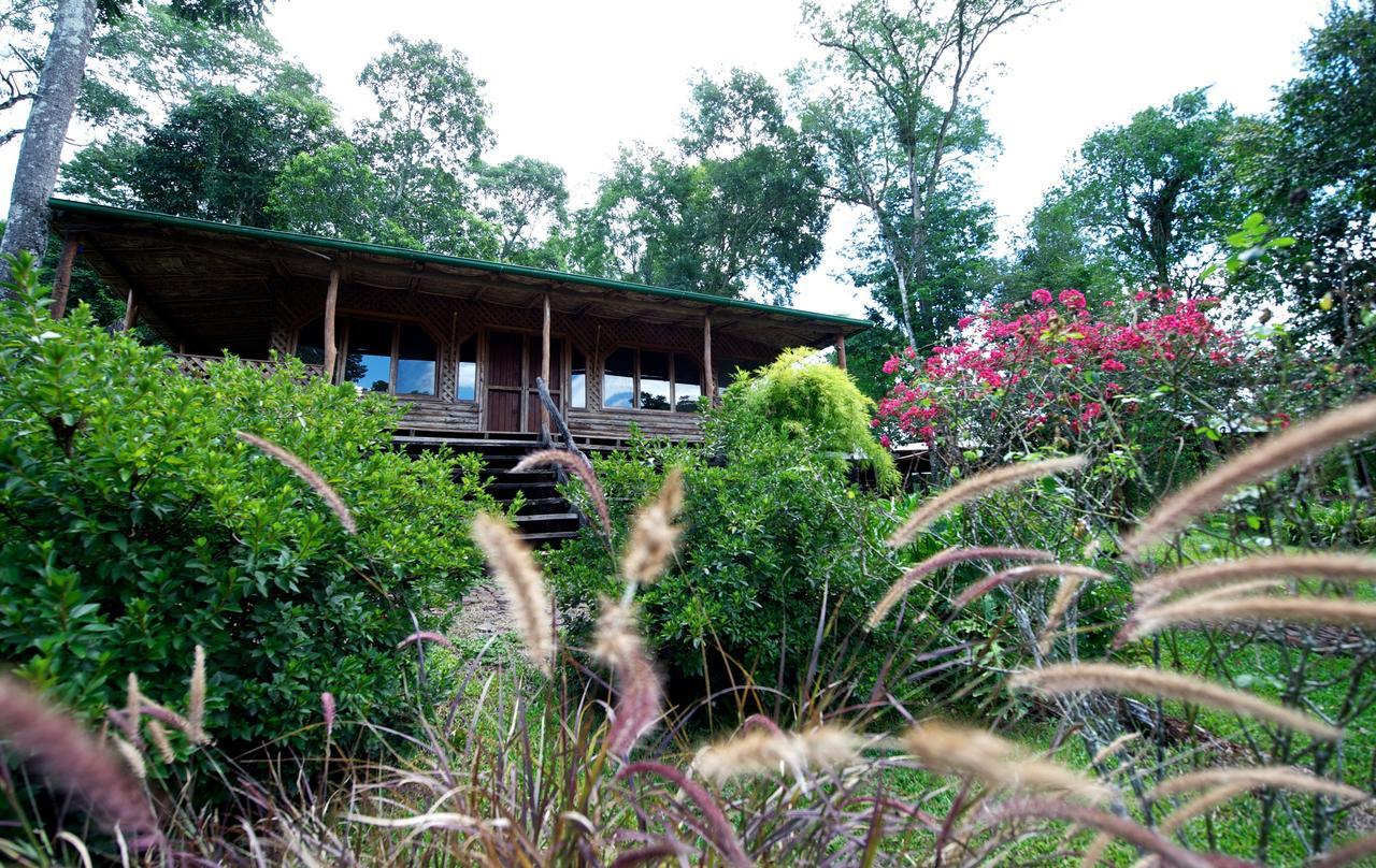 La Mision Mocona - Lodge De Selva ซัลโตส เดล โมโกนา ห้อง รูปภาพ