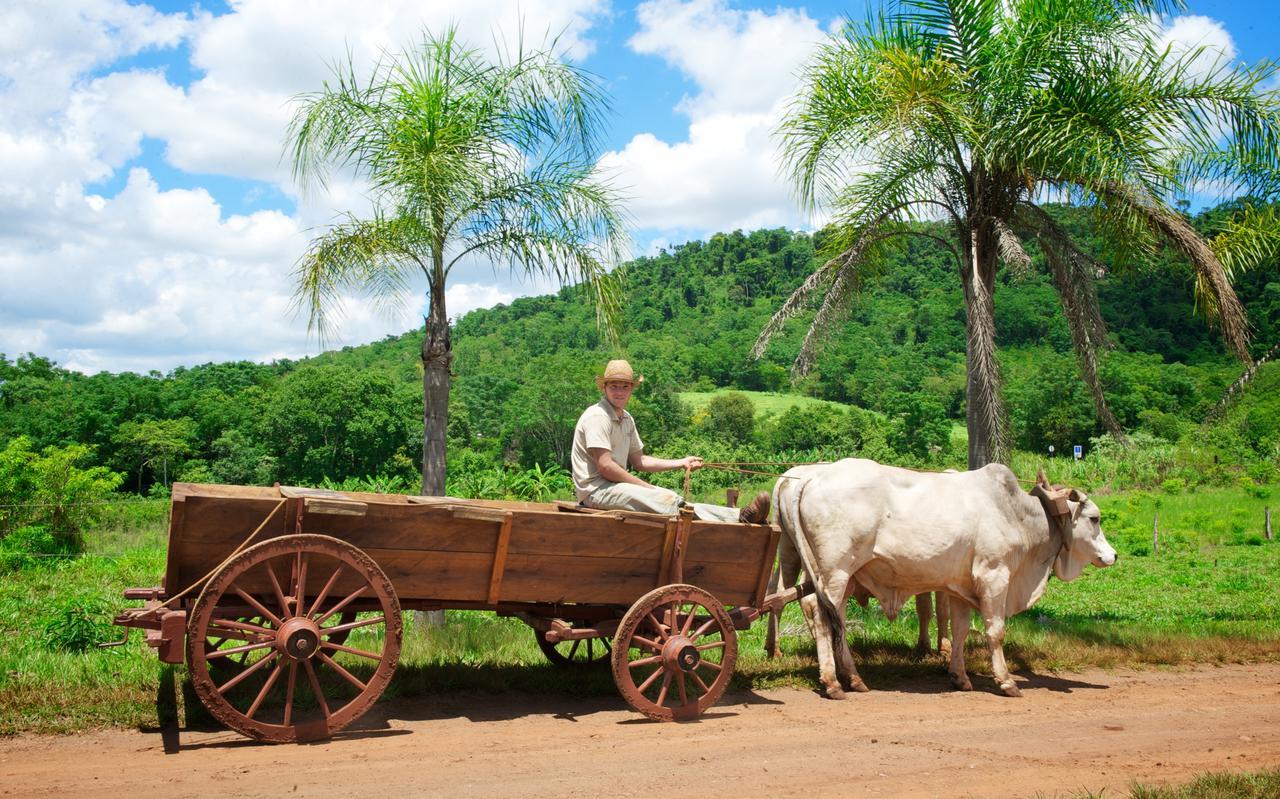 La Mision Mocona - Lodge De Selva ซัลโตส เดล โมโกนา ภายนอก รูปภาพ