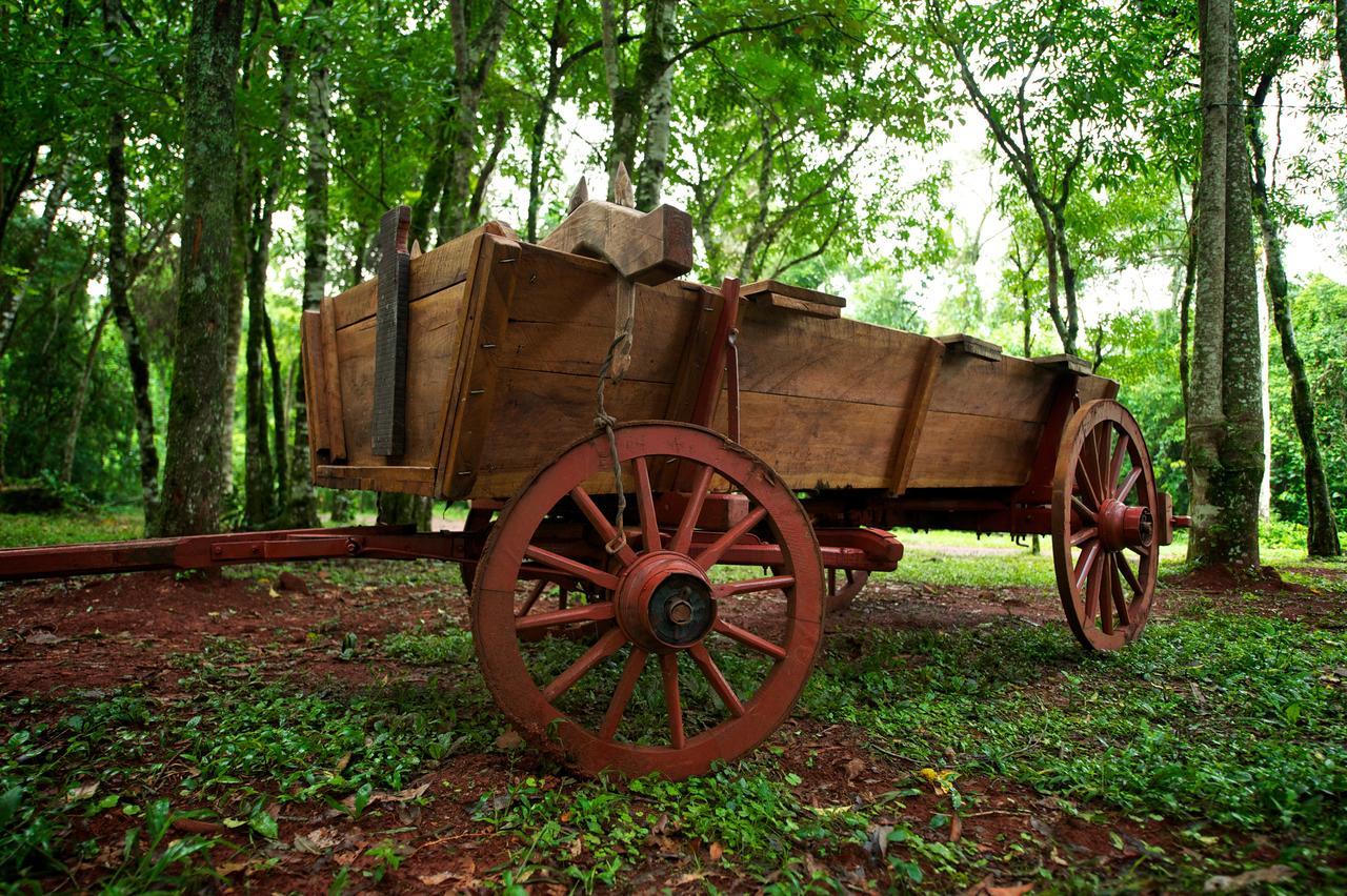 La Mision Mocona - Lodge De Selva ซัลโตส เดล โมโกนา ภายนอก รูปภาพ