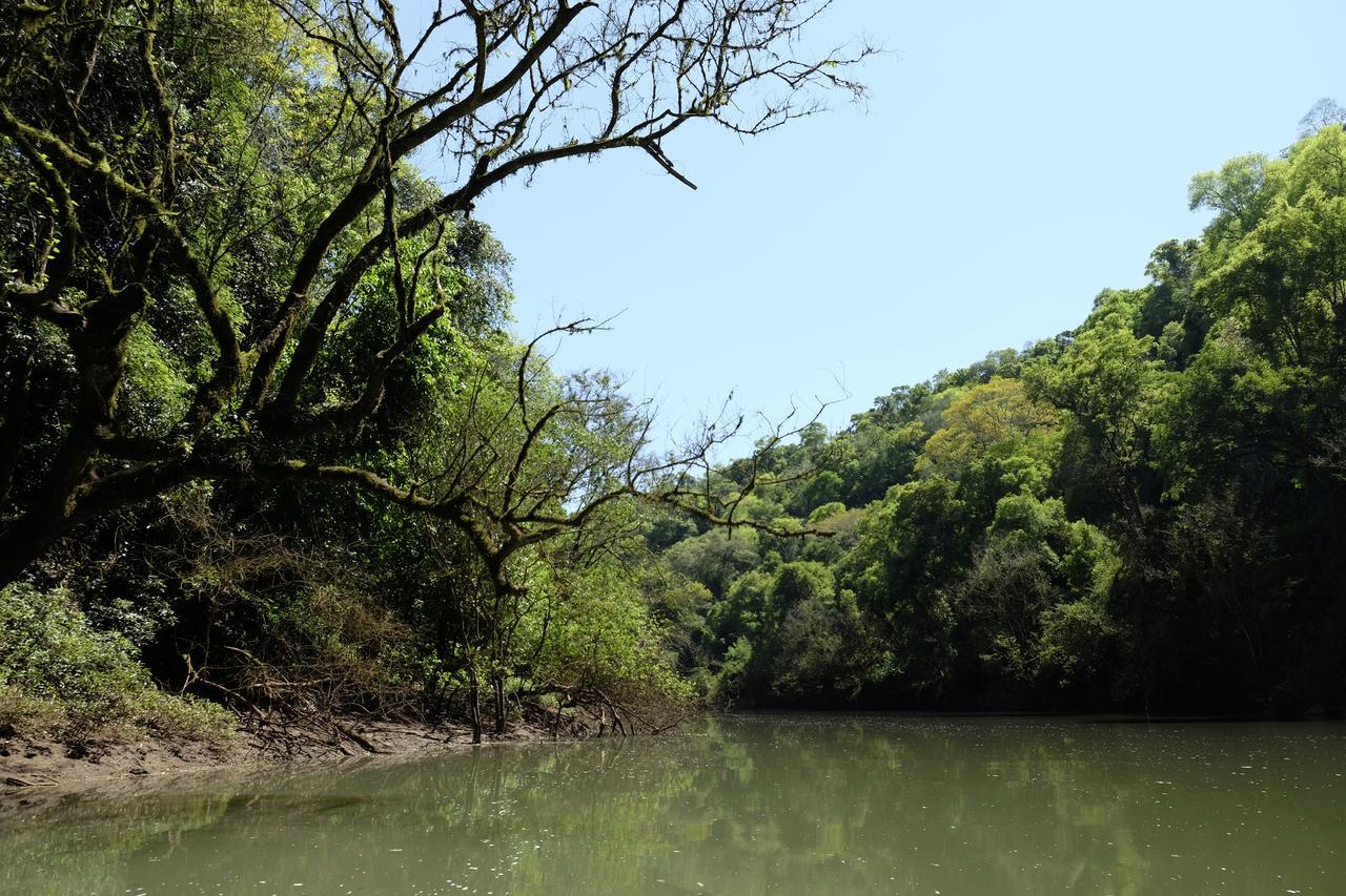 La Mision Mocona - Lodge De Selva ซัลโตส เดล โมโกนา ภายนอก รูปภาพ