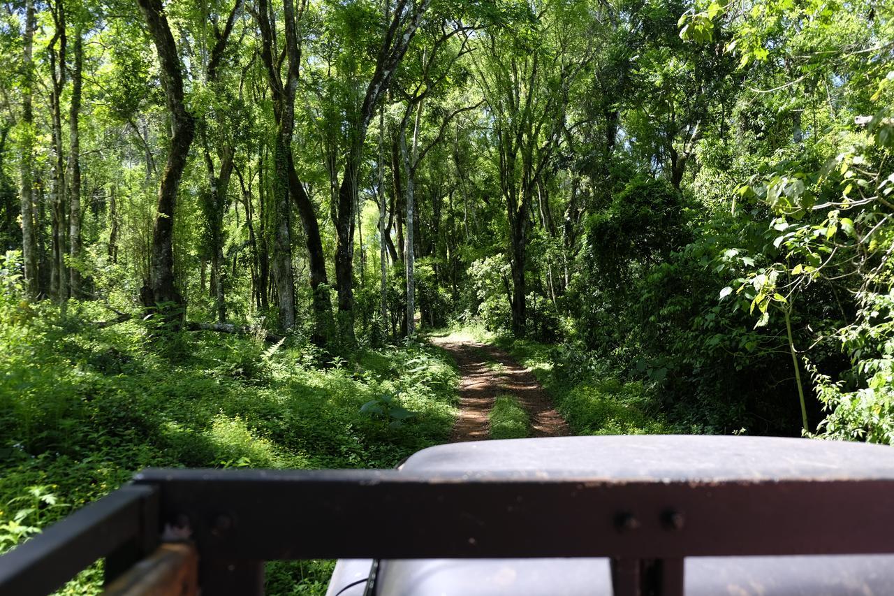 La Mision Mocona - Lodge De Selva ซัลโตส เดล โมโกนา ภายนอก รูปภาพ