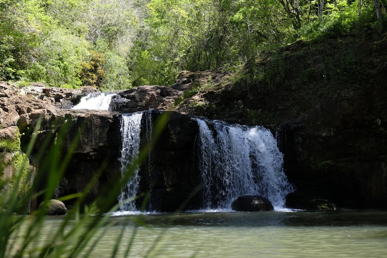 La Mision Mocona - Lodge De Selva ซัลโตส เดล โมโกนา ภายนอก รูปภาพ
