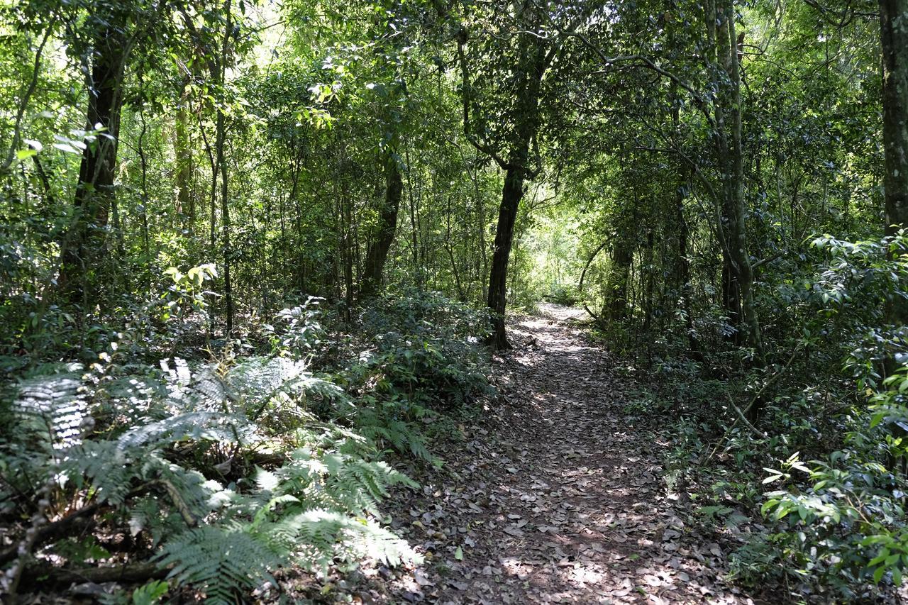 La Mision Mocona - Lodge De Selva ซัลโตส เดล โมโกนา ภายนอก รูปภาพ